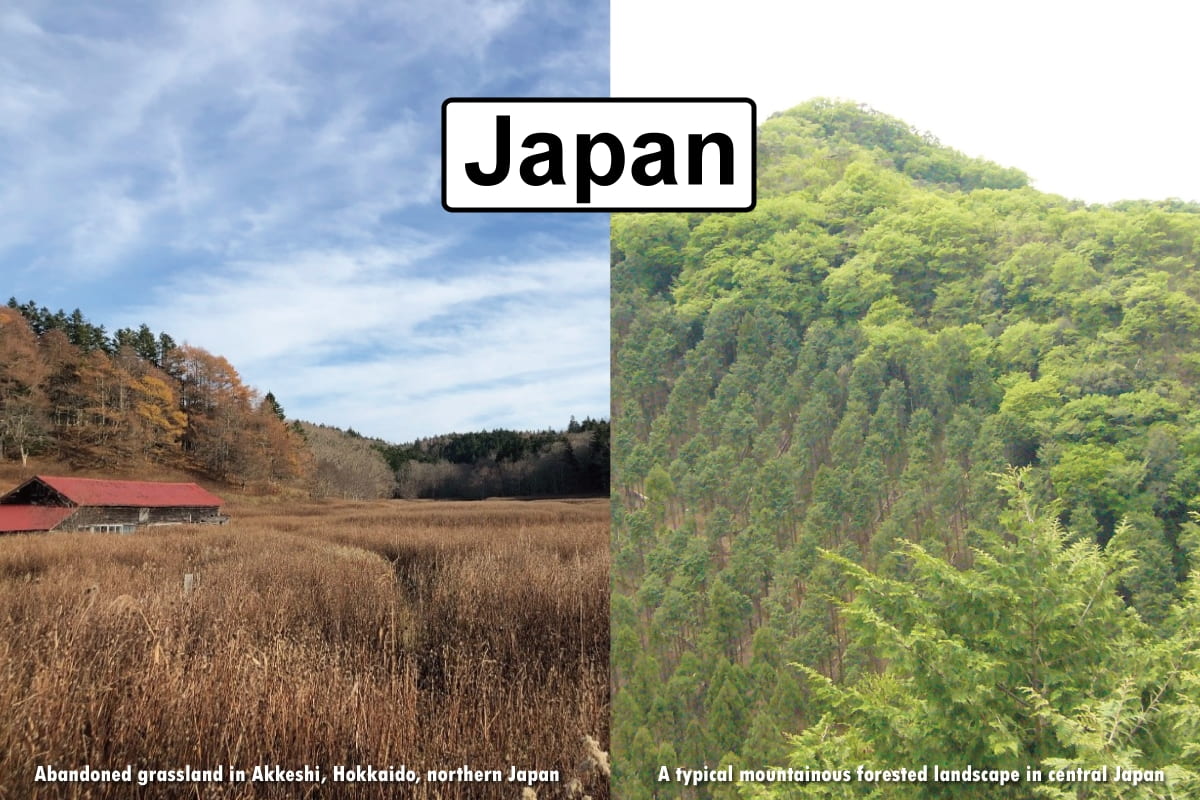 Japan ABRESO team aims to clarify the patterns and mechanisms of changing critical zone under land-use changes including land abandonments in various sites in Japan from a viewpoint of both natural and social sciences.